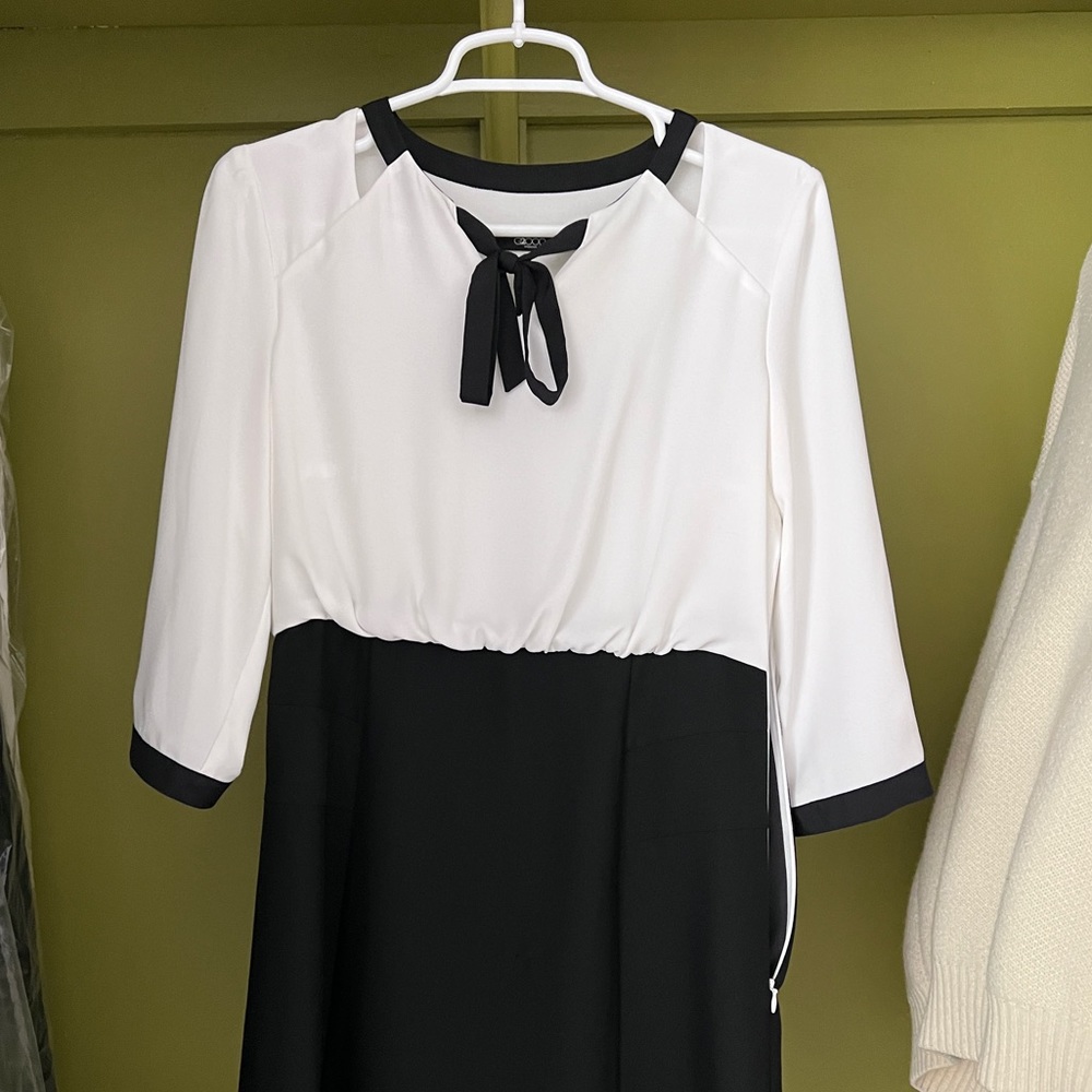 G2000 Work Dress